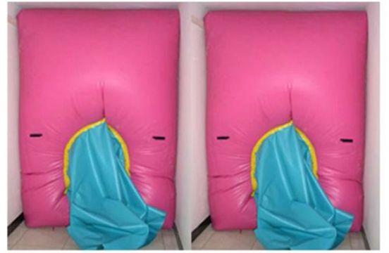 點(diǎn)擊查看詳細(xì)信息<br>標(biāo)題：快速封堵氣囊 閱讀次數(shù)：2421